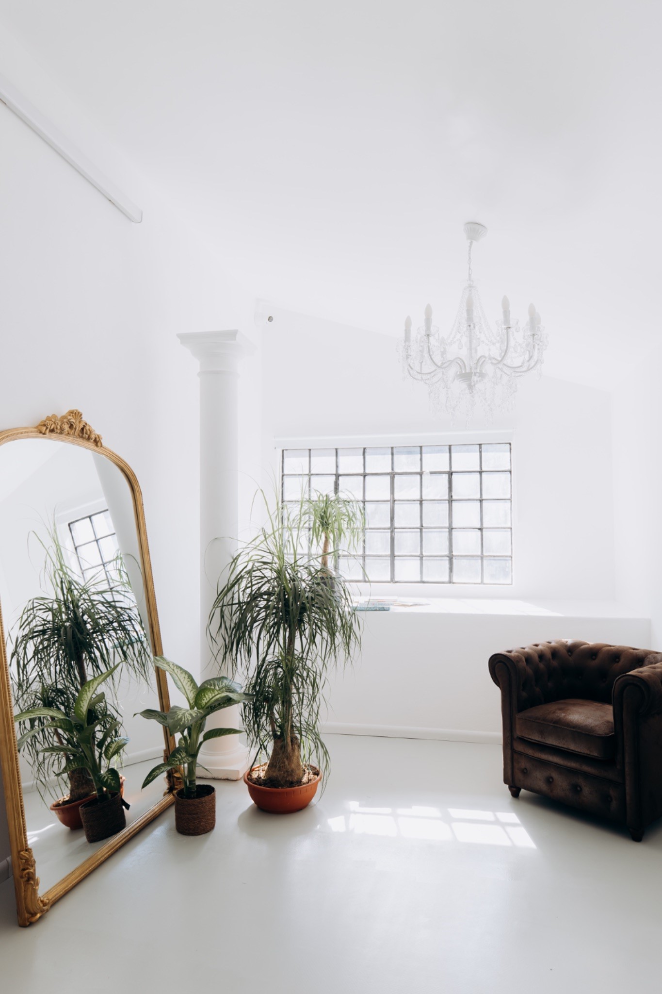 Metal Zone — studio shot